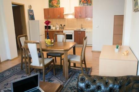 Town Hall 3 Bedroom Apartment Vilnius Ngoại thất bức ảnh
